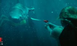 冒险灾难片《鲨海逃生》将映 人鲨肉搏飙升肾上腺素