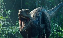 《侏罗纪世界3》定名为《侏罗纪世界：圣域》  明年6月上映