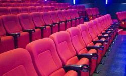 3月2日起澳门公共部门恢复办公 电影院等场所恢复运营