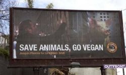 杰昆·菲尼克斯登公益广告牌，呼吁大家：少吃肉享受素食生活