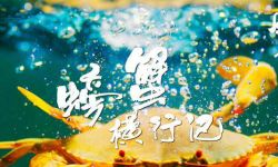 美食探索纪录片《风味人间》第二季 定档4月26日