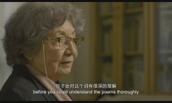 《掬水月在手》入围上影节，展现中国古典诗词之美 