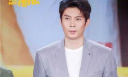 《温暖的抱抱》亮相上影节 