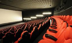 北京市电影局：影院上座率限制14日起上调至50%