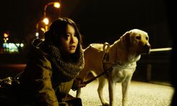 日本悬疑暴力强片《看不见的目击者》，翻拍韩国卖座警匪犯罪电影《盲证》