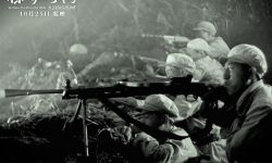 纪录片《保家卫国——抗美援朝光影纪实》：影像与历史