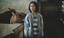 青春犯罪题材电影《少女佳禾》定档12月11日全国上映