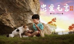 电影《忠爱无言2》定档2021年3月  刚斩获金鸡奖“最佳音乐”提名