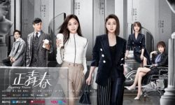 都市职场剧《正青春》将于1月24日在浙江卫视和东方卫视播出