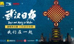 中国最大观影团！百位明星70城观众同看纪录电影《武汉日夜》