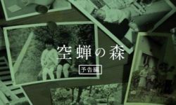 推迟了七年才将上映！  酒井法子主演电影《空蝉之森》定档