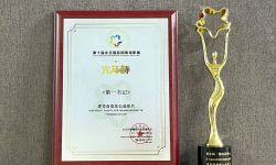 第十届北京国际网络电影展云上举办  《第一书记》斩获“光年杯”