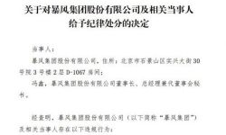 暴风集团未按期披露季度报告 深交所对集团及冯鑫给予纪律处分