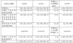 国新文化2020年净利增长30.24% 总经理姚勇薪酬82.2万