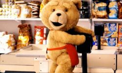 R级喜剧电影《泰迪熊》将拍真人剧集  塞思·麦克法兰将回归