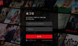 韩国法院裁定网络运营商可向Netflix等流量大户征收宽带使用费