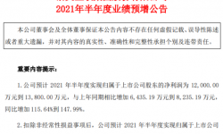 浙文互联2021年上半年预计净利1.2亿-1.38亿增加116%-148% 新增订单量显著提升