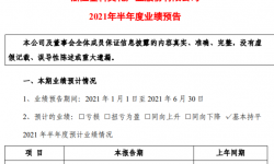 金科文化2021年上半年预计净利4亿至6亿较上年同期持平 公司移动互联网业务运营保持较高水平