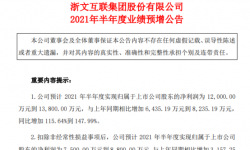 浙文互联2021年上半年预计净利1.2亿-1.38亿增长116%-148% 新增订单量显著提升