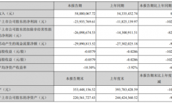 佳创视讯2021年上半年亏损2393.58万同比亏损增加 汇率变动产生损失