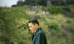 主旋律电影《绿叶对根的情意》定档8月26日全国上映