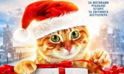 《流浪猫鲍勃2：鲍勃的礼物》今日上映，这只橘猫值得最佳主角奖！