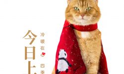 动画电影《流浪猫鲍勃2》曝上映海报，原型橘猫鲍勃银幕绝唱