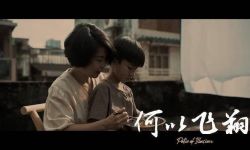 电影《何以飞翔》获得2021年伦敦孤狼国际电影节5项提名