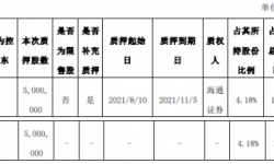 引力传媒控股股东罗衍记质押500万股 用于补充质押