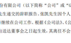 GQY视讯副总经理张凯辞职 2020年薪酬为60.1万