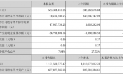 聚力文化2021年半年度净利5049.62万元 同比净利减少64.14%