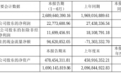 引力传媒2021年半年度净利2277.36万元 同比净利减少17.00%