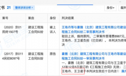 演员王珞丹因拖欠工程款成被执行人，执行标的30.96万元