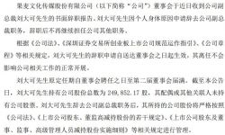果麦文化副总裁刘大可辞职 持有公司股份总数为24.99万股