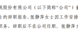 华录百纳财务负责人张静萍辞职 袁征富接任 第三季度公司净利5110.14万