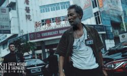 电影《误杀2》定档  被赞“贺岁档”必看