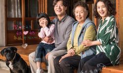 罗文姬主演韩国电影《哦！文姬》定档12月3日国内上映