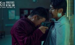 国产犯罪悬疑电影《误杀2》开启预售  12月17日全国上映