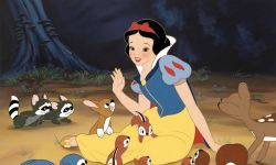 迪士尼真人电影版《白雪公主》主演瑞秋·泽格勒回应质疑