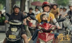 上映20天破11亿，《奇迹·笨小孩》凭什么被捧为“国产现实片的标杆”？