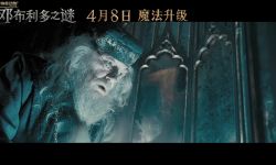 《神奇动物3》国内定档4月8日