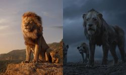 真兽版《狮子王2》木法沙、刀疤年轻故事，档期未定