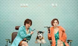 《爱犬奇缘》定档5月20日，冯绍峰娜扎辣目洋子演绎夏日爱情喜剧