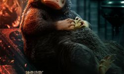 《神奇动物：邓布利多之谜》预告魔法世界战火升级，4月8日在中国大陆地区正式公映