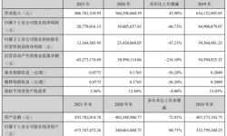 德艺文创2021年净利2077.9万同比下滑46.73% 董事长吴体芳薪酬39.47万