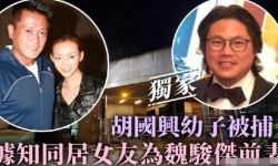 魏骏杰前妻疑遭家暴，21岁就嫁老牌演员当贵妇，现男友也来头不小 