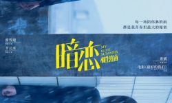 《暗恋·橘生淮南》新预告，5月20日世界告白日上映