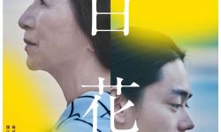 菅田将晖&长泽雅美演夫妻，电影《百花》9月9日在日本上映