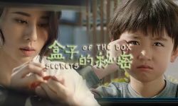 深圳本土精品电影《盒子的秘密》：温情诠释母爱之伟大