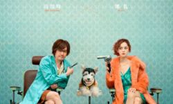 冯绍峰娜扎新片《爱犬奇缘》撤档，原定5月20日上映